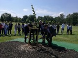 Lipa z Dachau, symbol porozumienia i działań na rzecz pamięci, została posadzona w Oświęcimiu [ZDJĘCIA]