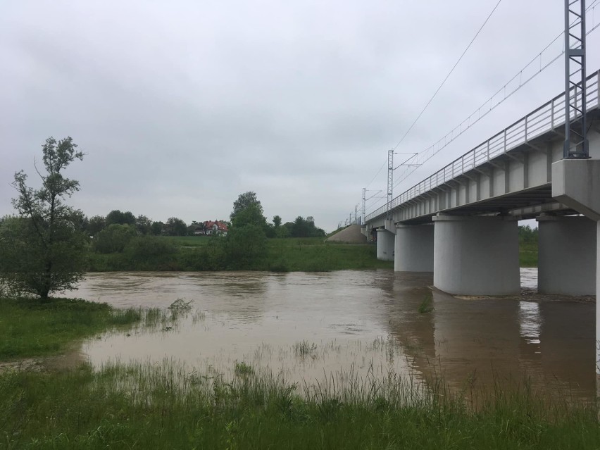 Alarm przeciwpowodziowy w Bochni, w Proszówkach poziom wody w Rabie przekroczył 7,5 metra - zobacz nowe zdjęcia