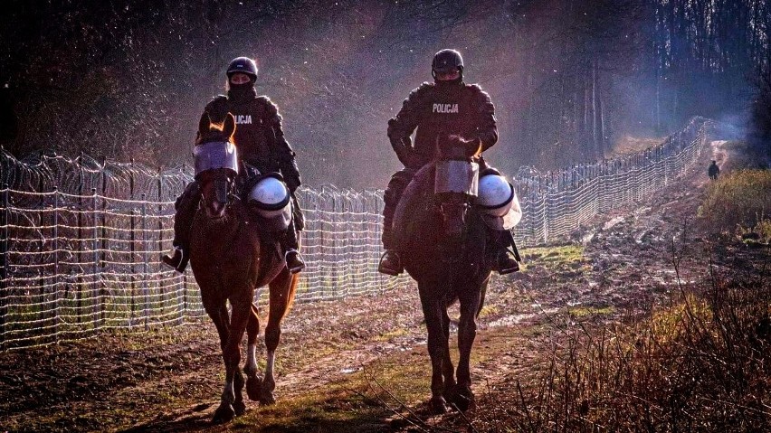 Policyjne konie i ich jeźdźcy na granicy z Białorusią. Tak wygląda praca wyjątkowych duetów [ZDJĘCIA]