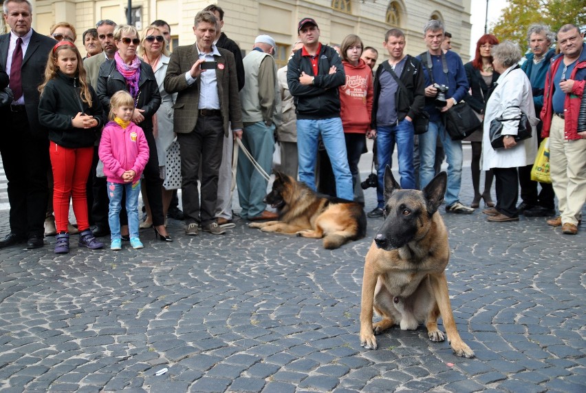 8 edycja akcji "Zerwijmy łańcuchy". Sprawdzali, co czuje pies przywiązany do budy (ZDJĘCIA)