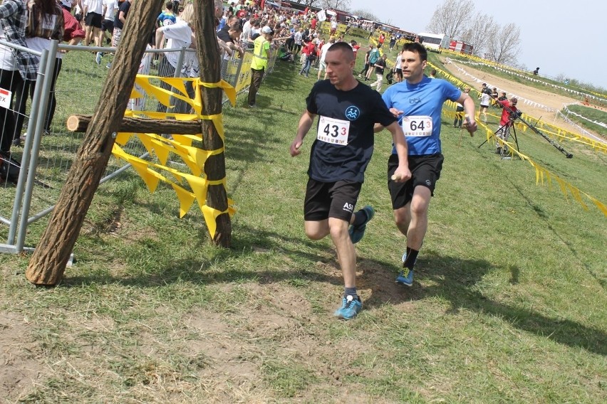 Cross Straceńców 2015. Sztafetowe Mistrzostwa Głogowa [Zdjęcia]