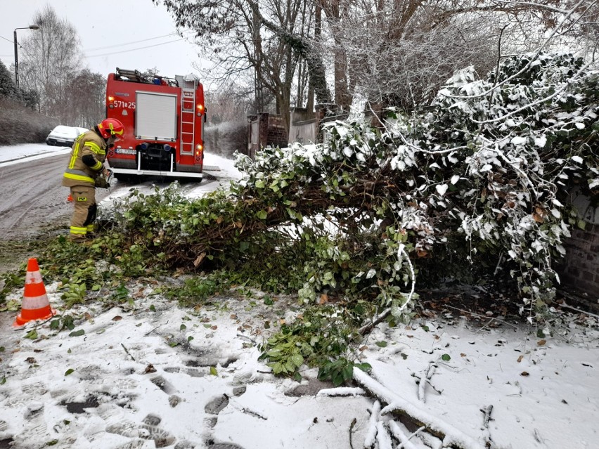 260 interwencji strażaków w woj. śląskim. Połamane drzewa,...