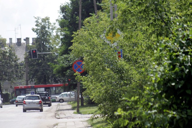 Przysłonięte drzewami znaki drogowe przy ul. Grabskiego