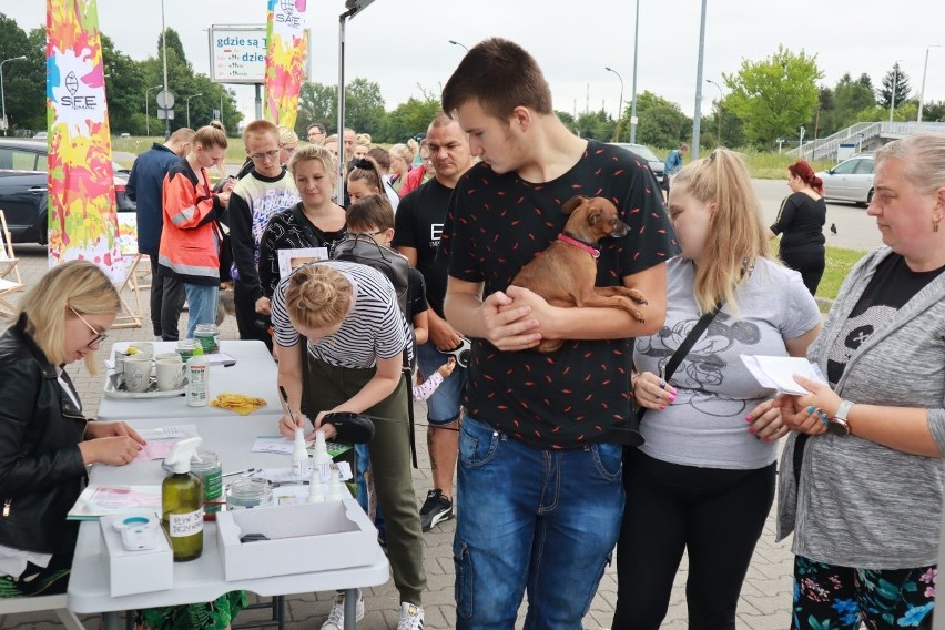 W Łodzi kolejka po czipy. Polski rekord czworonogów, którym wszczepiono pod skórę czip ze znacznikiem