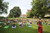 Wakacyjna joga na trawie, czyli poznaniacy ćwiczą w centrum miasta [ZDJĘCIA]