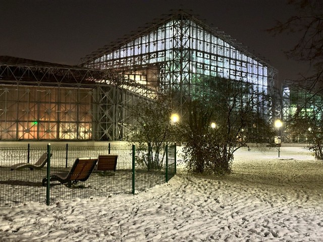 Park Chopina w Gliwicach w zimowej scenerii wygląda bajkowo.
