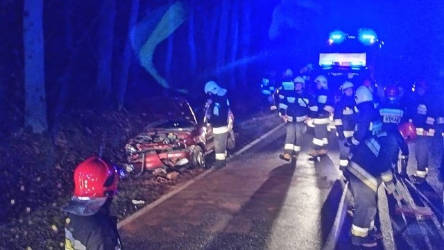 Strażacy udzielili pierwszej pomocy poszkodowanym i zepchnęli wrak pojazdu na pobocze.