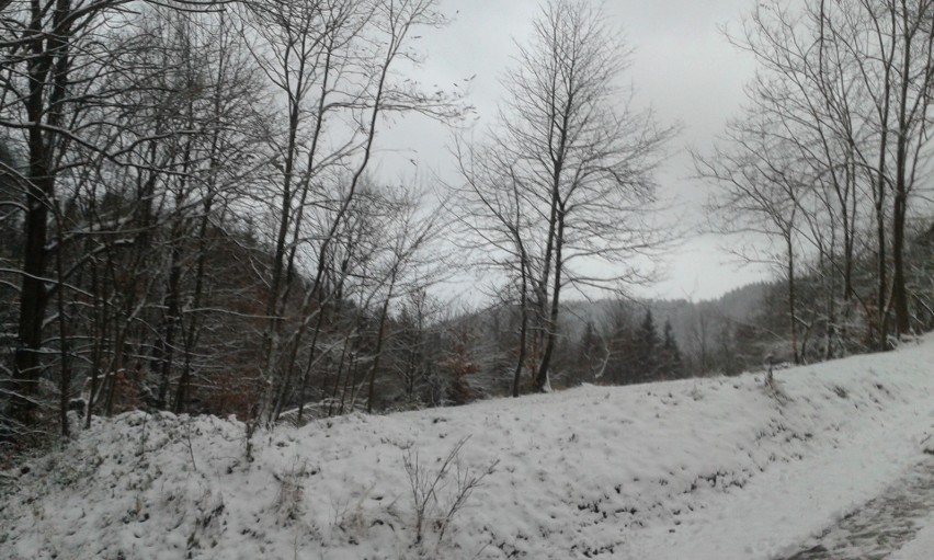 Pod Leskowcem dziś biało. Pierwszy śnieg w powiecie