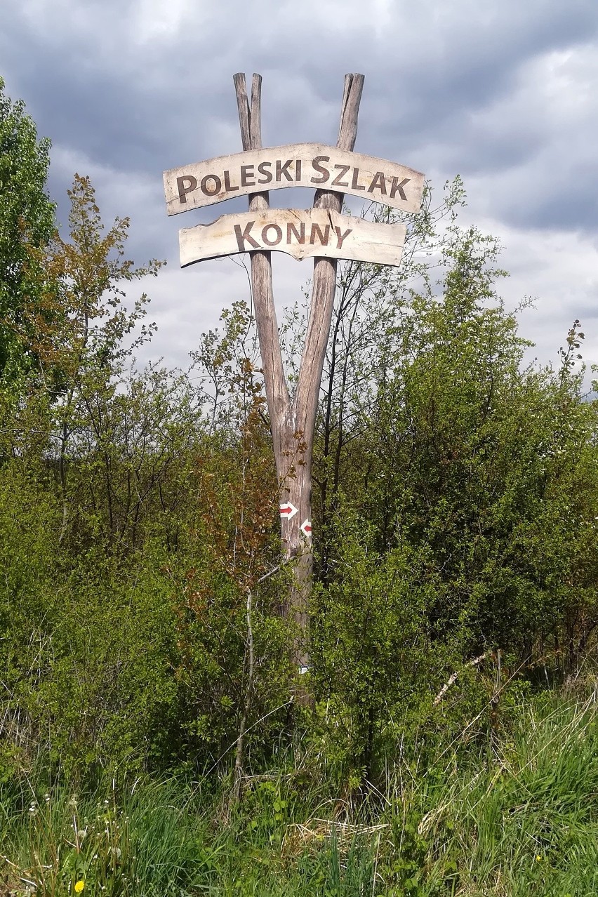 Poleski Park Narodowy, Roztocze, Skarpa Dobrska. Zobacz, jak lublinianie spędzali weekend w regionie. ZDJĘCIA