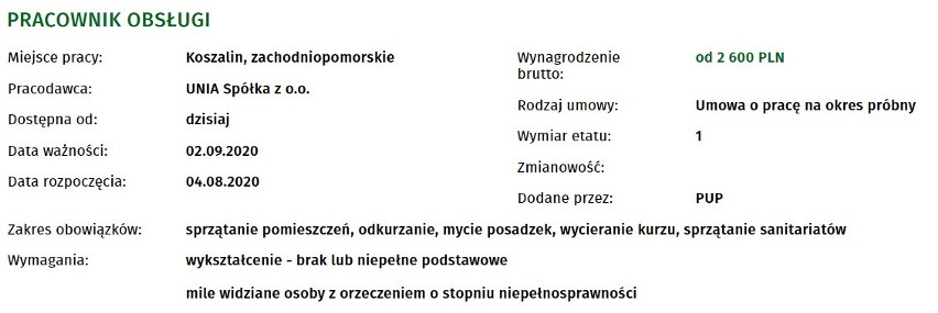 Prawie 50 ofert pracy w Koszalinie i okolicach! Sprawdź!