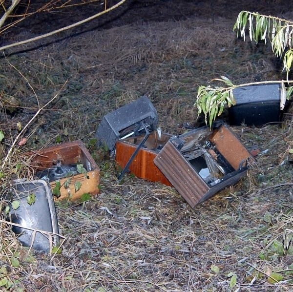 W okolicy rzeki Koprzywianki w Zawisełczu koło Sandomierza ktoś wyrzucił stare telewizory.