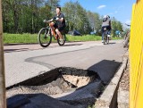 Tarnobrzeg. Rozpada się ścieżka rowerowa przy Wisłostradzie. Problemem osuwanie skarpy (ZDJĘCIA)