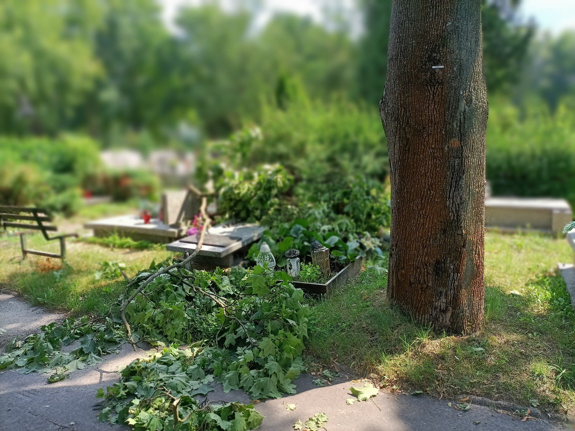 Cmentarz na Dołach znów zostanie otwarty. Zniszczenia po burzy na cmentarzu  | Dziennik Łódzki