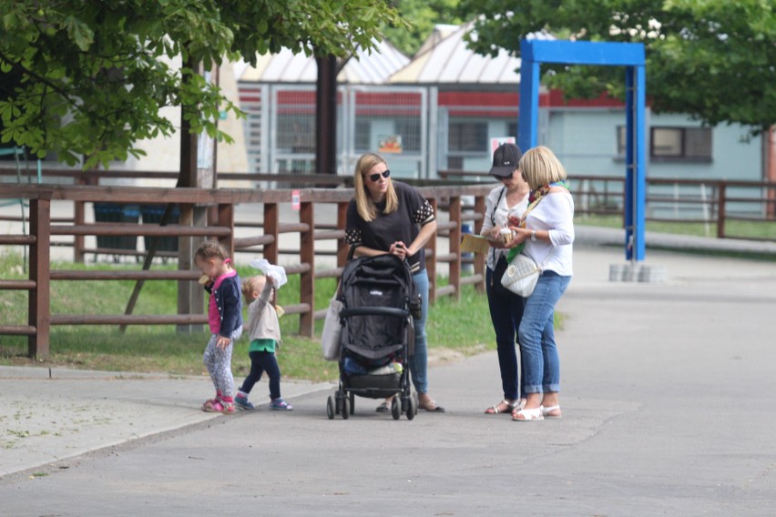 Śląski Ogród Zoologiczny ma małą samicę wielkiego kudu 