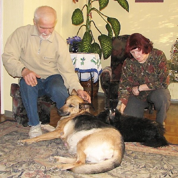 Rodzinne zdjęcie: Danuta i Zdzisław Kaletowie i ich psie pociechy - Kora i As