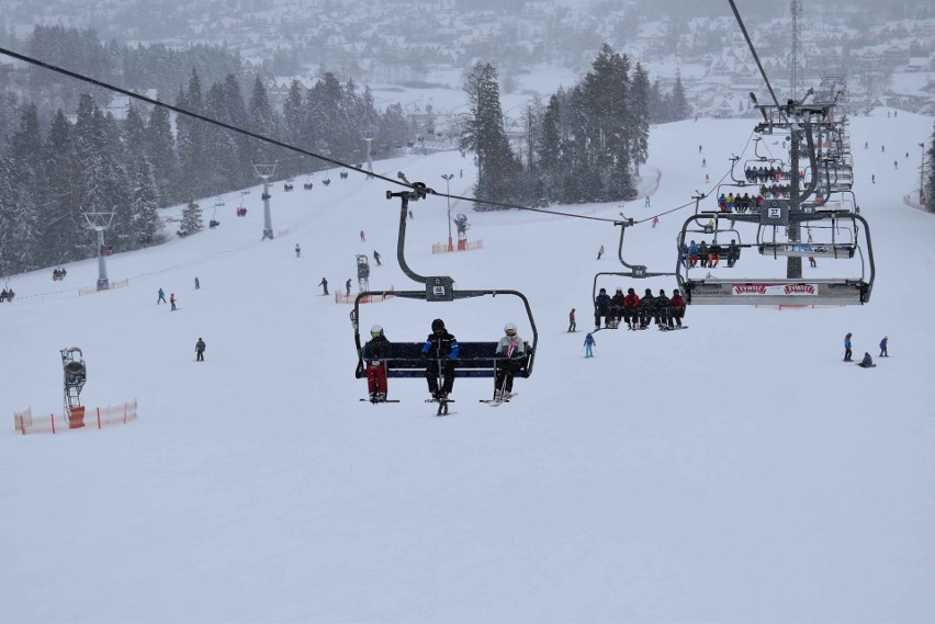 Podhale. Weekendowy najazd na Białkę Tatrzańską. Tysiące narciarzy korzysta ze stoków narciarskich. Warunki są bardzo dobre [ZDJĘCIA]
