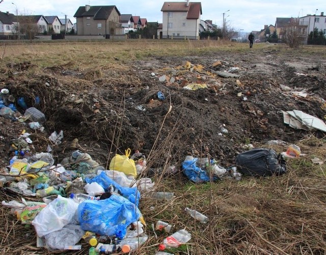 Jedno z nielegalnych wysypisk śmieci na terenie miasta.
