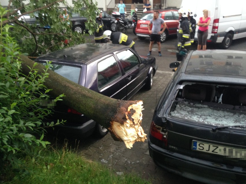 Skutki nawałnicy w Jastrzębiu: Przygniecione auta, powalone...