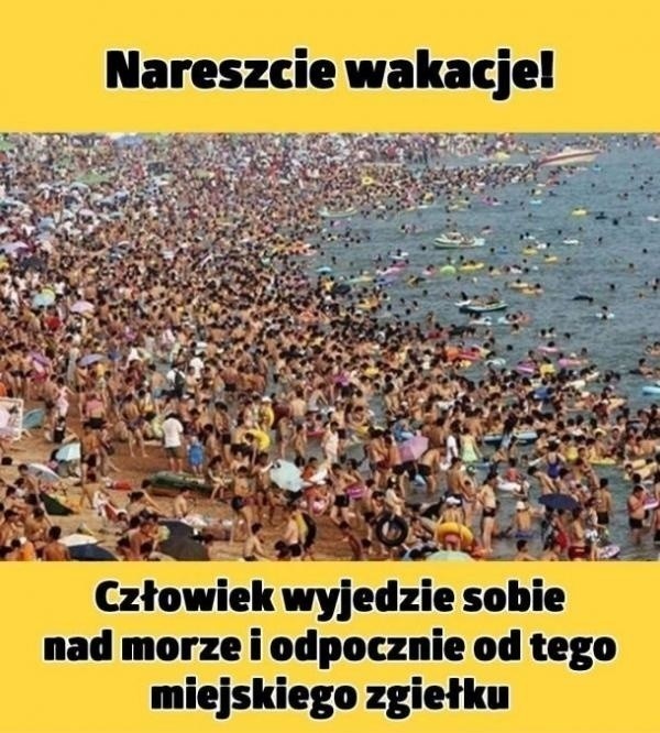 Memy o wakacjach nad polskim Morzem 2022.