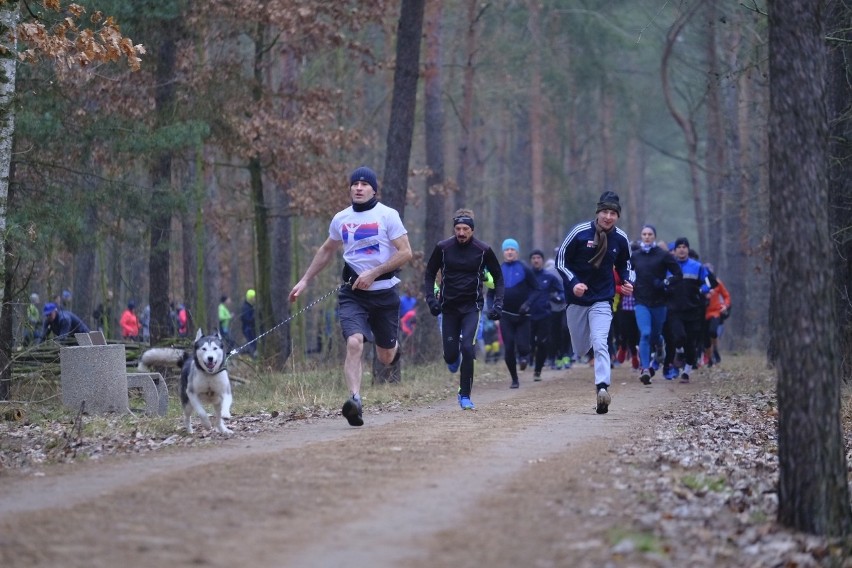 Za nami kolejna edycja Parkrun w lesie na Skarpie. Mamy...