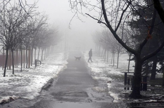 W piątek pogoda podobna do czwartkowej. Możliwe większe przejaśnienia i rozpogodzenia. Temperatura w ciągu dnia wyniesie od 1 do 2 stopni Celsjusza. Przejdź do kolejnych dni --->