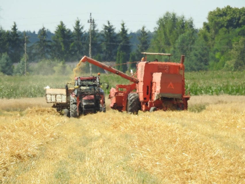 Region. Dopłaty 2020: Oświadczenia zamiast wniosków. ARiMR przyjmuje je od 2 marca