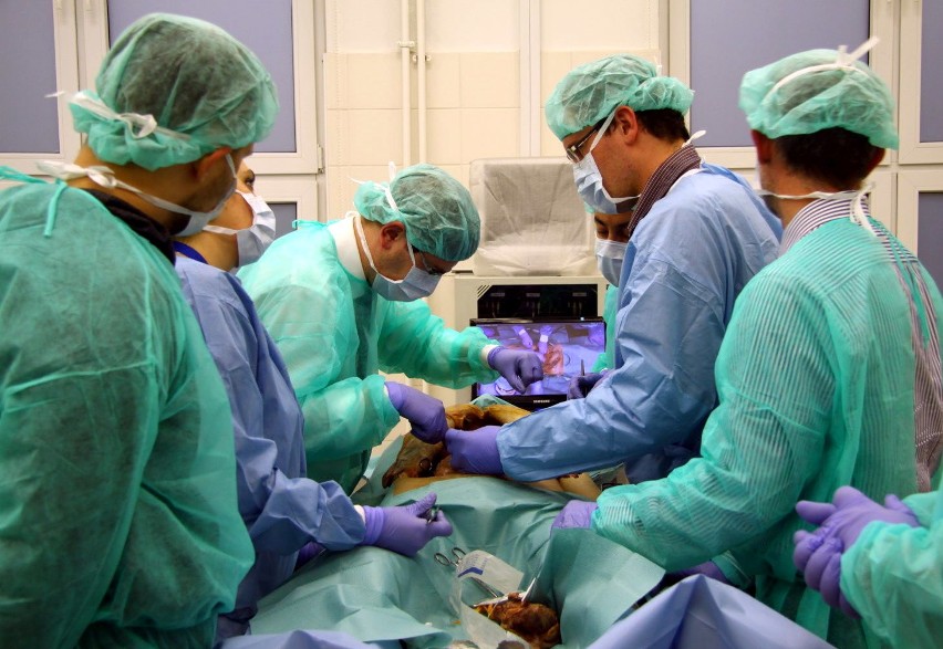 Klinika Chirurgii Onkologicznej w Lublinie. Wycinają raka z żołądkiem (ZDJĘCIA, WIDEO)