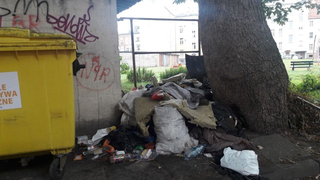 Przy ul. Matejki w Koszalinie, w pobliżu wiat oraz w samych wiatach śmietnikowych, mieszkańcy zauważyli szwendające się szczury.- Ludzie z miasta tu przyjeżdżają wyrzucić swoje śmieci i zrobił się potężny bałagan - mówią przechodnie. - Śmieciarze nie nadążają już z wywożeniem tego syfu i kto wie, czy szczury się naprawdę nie zalęgły... - Może to były koty, a nie szczury?- Na kota za małe. Raczej szczury.Śmieci walają się wokół trzech wiat przy ul. Matejki. - Niech miasto coś z tym zrobi, a nie zrzuca jeszcze - jak czytamy w gazecie - odpowiedzialność na zarządy wspólnot. To jakaś paranoja!Sprawą zainteresowano już strażników miejskich. Wiaty mają być pod specjalną kontrolą. Na razie jednak powinna tu jak najszybciej pojawić się ponownie ekipa z PGK i posprzątać odpady. (QBA)Zobacz także Straż Miejska w Koszalinie testuje drona