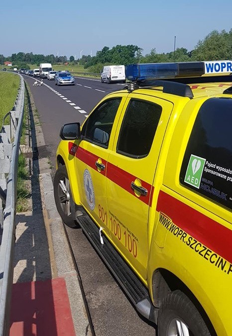 Policjanci długo się nie zastanawiali. Wskoczyli do...