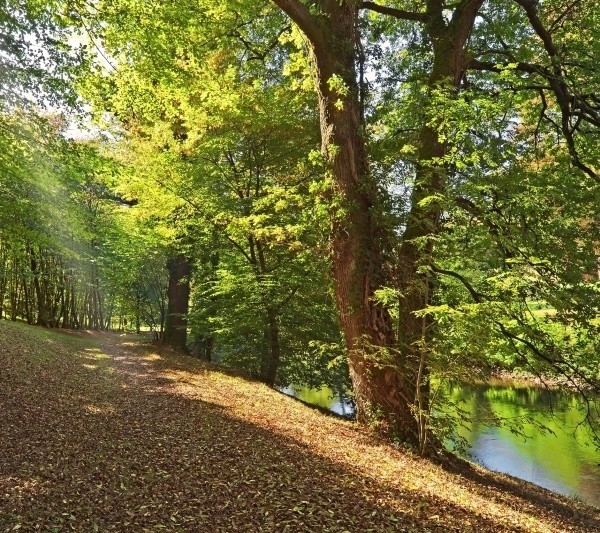 Chłopiec zaginął w miejscowości Komarowo