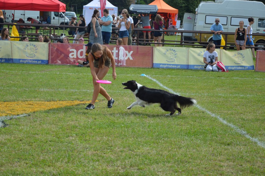 "Latające psy" 2018 w gdyńskim Parku Kolibki, czyli emocjonujące zawody w dogfrisbee