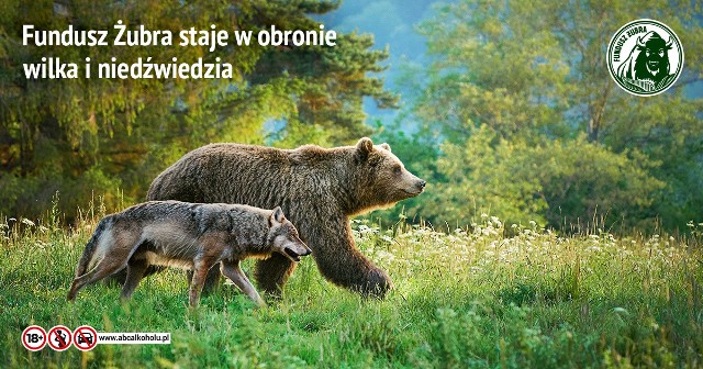 Fundusz Żubra i Fundacja Dziedzictwo Przyrodnicze w obronie wilka i niedźwiedzia
