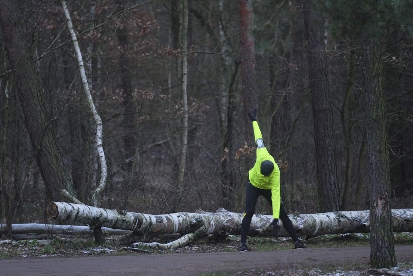 W sobotni poranek toruńscy biegacze tradycyjnie zebrali się...