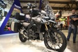 Triumph Tiger Explorer - brytyjska nowość na EICMA 2011