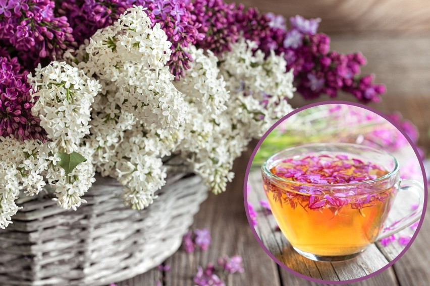 Do zrobienia herbaty z kwiatów bzu lilaka możesz wykorzystać...