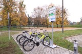 Podsumowanie rowerowego sezonu w Ostrołęce. Rowery cieszą się dużym zainteresowaniem