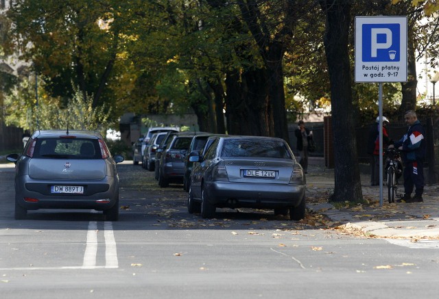 Fot. Piotr Krzyżanowski