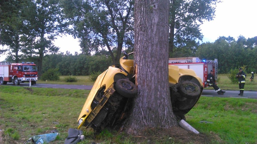 Samochód zawiesił się na drzewie