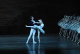Tancerze Moscow City Ballet wystąpią w Lublinie