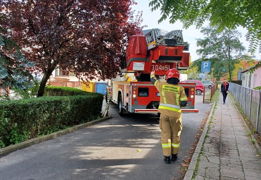 Policjanci otrzymali informację, że w jednym z mieszkań...