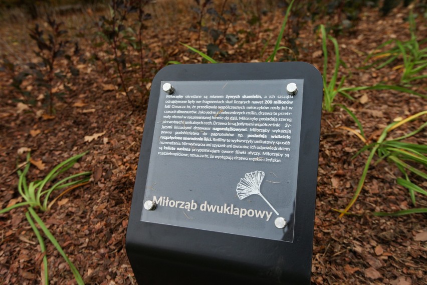 Kraków. Na Wzgórzach Krzesławickich powstał ogród prehistoryczny [ZDJĘCIA]