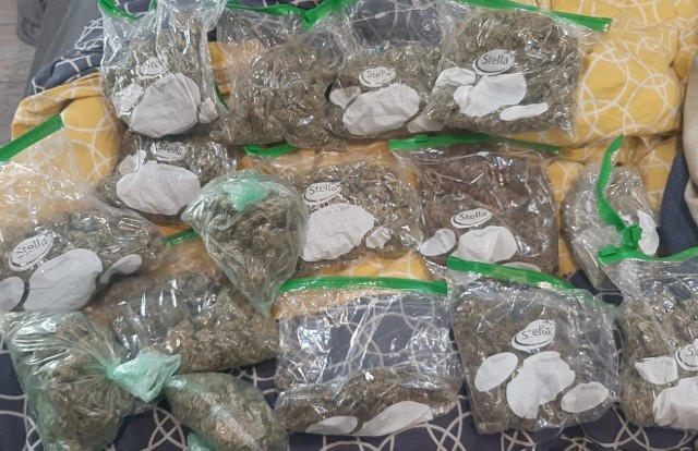 Policjanci zabezpieczyli susz marihuany o czarnorynkowej wartości 51 tysięcy złotych oraz 15 krzewów konopi.
