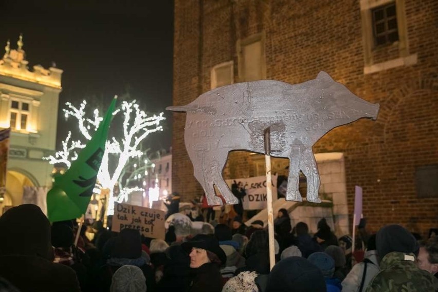 Kraków. "Dziki" na Rynku Głównym? To protest przeciwko masowym polowaniom [ZDJĘCIA]