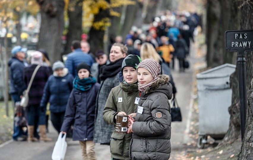 Wszystkich Świętych na Cmentarzu Pobitno w Rzeszowie.