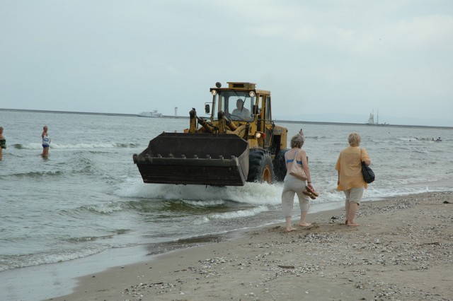 Wyciągnięte z morza glony są ładowane na samochody i wywożone na składowiska wskazane przez Urząd Morski.