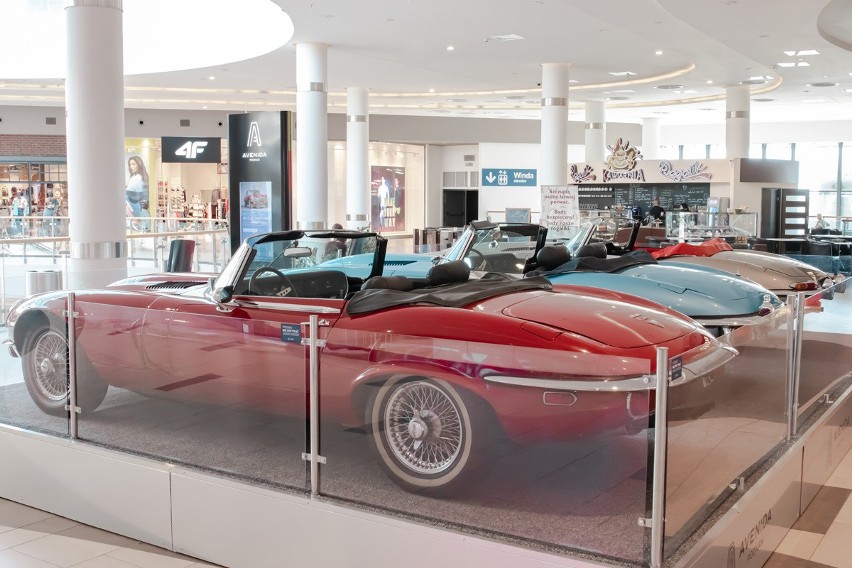 Poznań: Wystawa jaguarów w centrum handlowym Avenida - zobacz kultowe modele samochodów od wyścigówek do limuzyn [ZDJĘCIA]