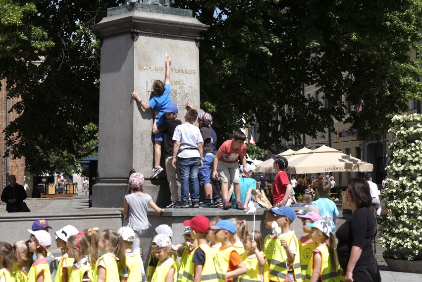 Na takie obrazki w centrum Torunia jeszcze poczekamy