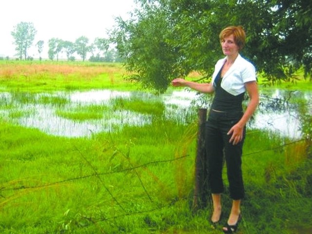 Tak wygląda większość naszych łąk i pól &#8211; mówi Hanna Rogowska z Brych. &#8211; 8 hektarów z 16, które posiadamy, jest w całości zalanych.