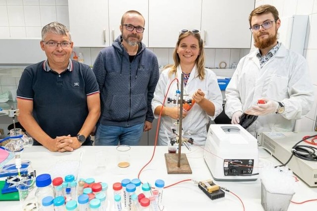 Zespół badawczy Wydziału Chemicznego Politechniki Wrocławskiej: (od lewej) prof. Piotr Jamróz, prof. Paweł Pohl, dr hab. Anna Dzimitrowicz, mgr inż. Dominik Terefinko. O tym jak działa zbudowana przez nich instalacja i plazma przeczytasz pod kolejnym zdjęciem w galerii