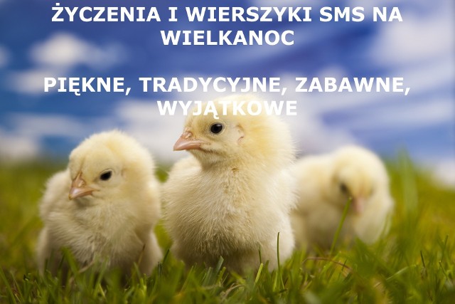 Jest Wielkanoc. Pora wysłać radosnego SMS-a. Skorzystasz z naszych zbiorów. Wybierz i wyślij SMS Facebook EMAIL